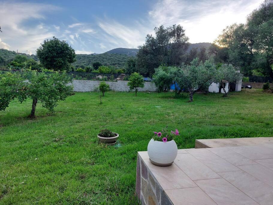 Villa Olbia Grazioso Bilo In Periferia Sole Ruiu Exterior foto